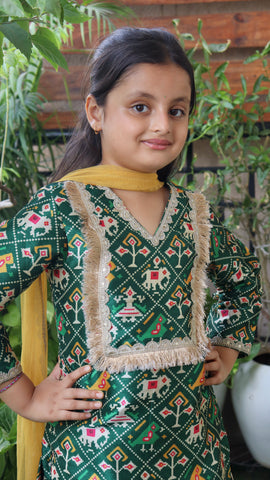Patola Sharara Set in Green