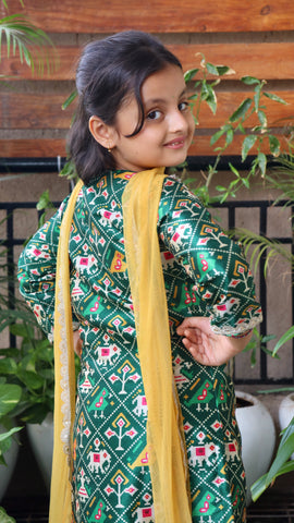 Patola Sharara Set in Green
