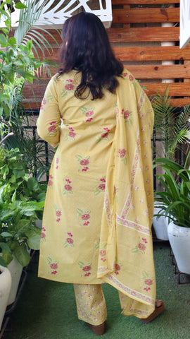 Gulnaar Yellow Ensemble