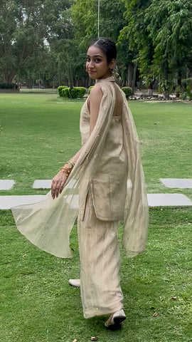 Nayab Shimmer Suit