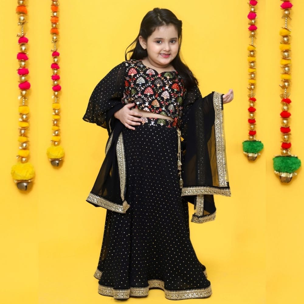 Black Lehenga with Multicolored thread embroidered blouse