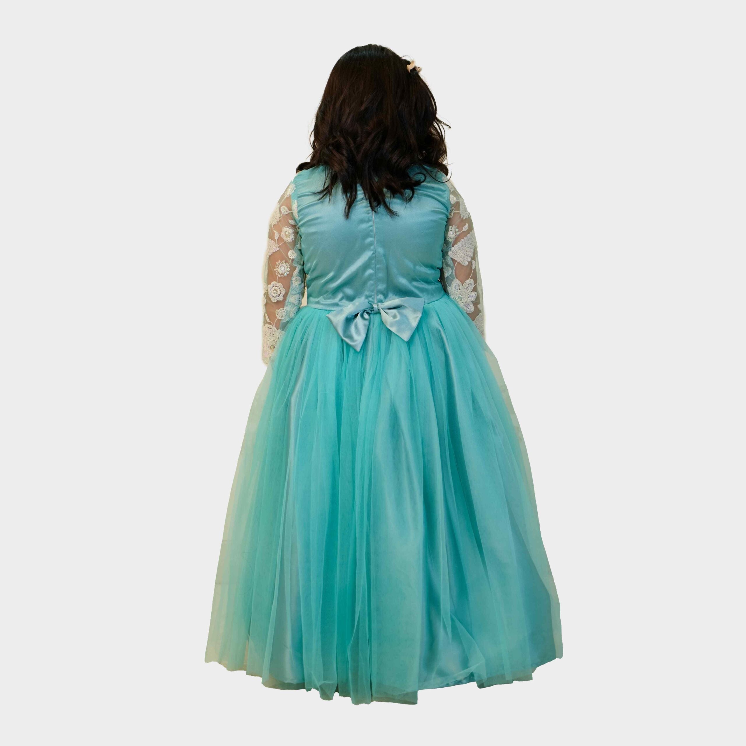 Sky Blue Thread embroidered Gown